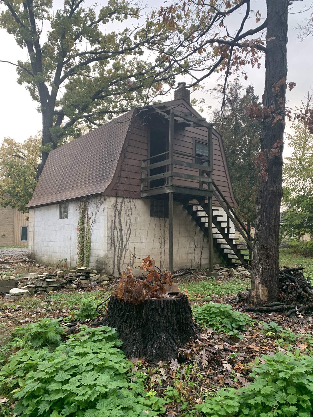 Small outbuilding before renovation, side view
