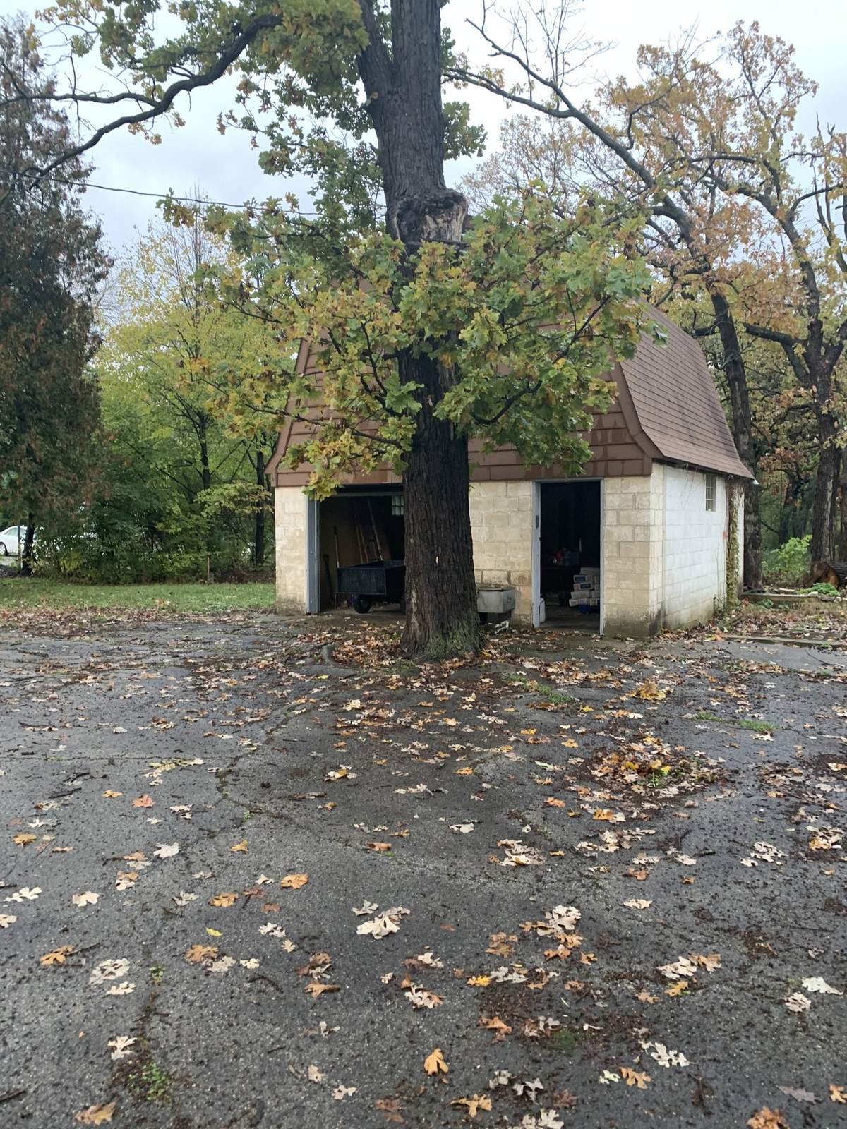 Small outbuilding before renovation, front view